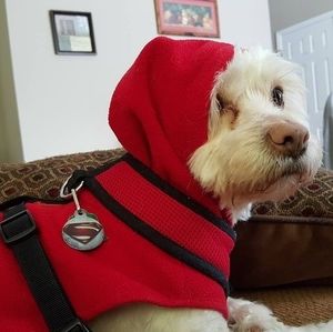 Meet your Posher, Sarai